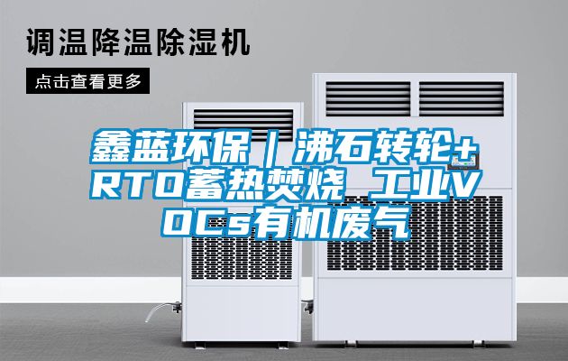 鑫藍環保|沸石轉輪+RTO蓄熱焚燒 工業VOCs有機廢氣