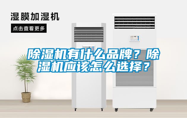 除濕機(jī)有什么品牌?除濕機(jī)應(yīng)該怎么選擇?