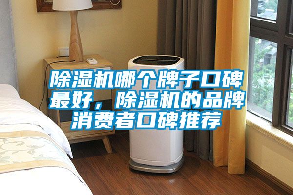 除濕機哪個牌子口碑最好，除濕機的品牌消費者口碑推薦