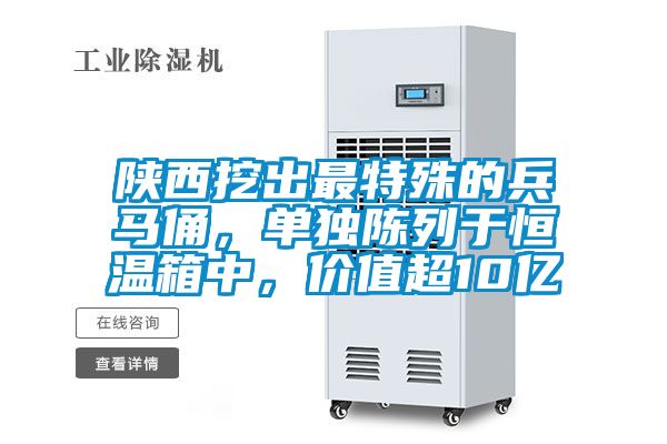 陜西挖出最特殊的兵馬俑,單獨陳列于恒溫箱中,價值超10億